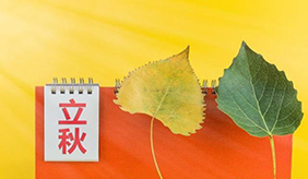 &#20048;&#31454;&#23448;&#32593;&#45;&#20048;&#31454;&#40;&#20013;&#22269;&#41;&#19968;&#31449;&#24335;&#20307;&#32946;&#26381;&#21153;