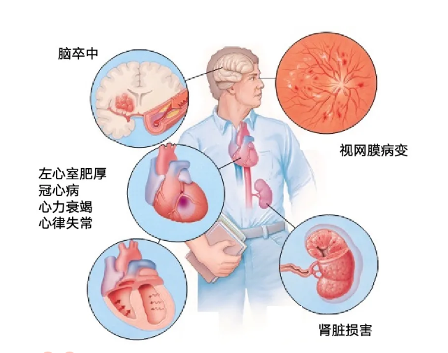 &#20048;&#31454;&#23448;&#32593;&#45;&#20048;&#31454;&#40;&#20013;&#22269;&#41;&#19968;&#31449;&#24335;&#20307;&#32946;&#26381;&#21153;